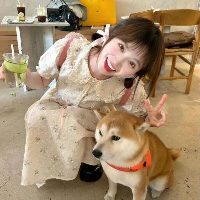 我回来了。 封面
